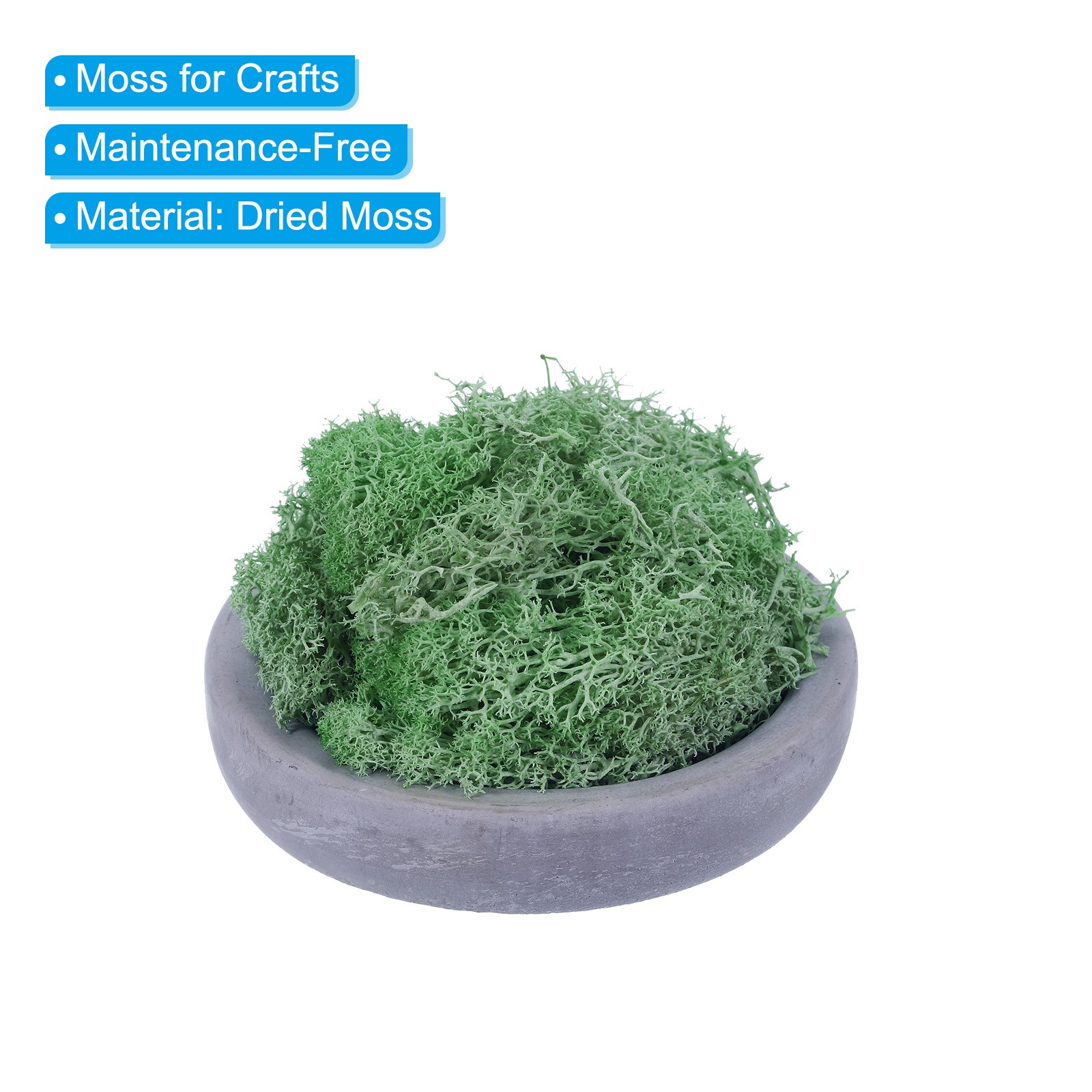 1.8 OZ Fake Moss Preserved Reindeer Moss Artificial Moss Lichen Emerald Green