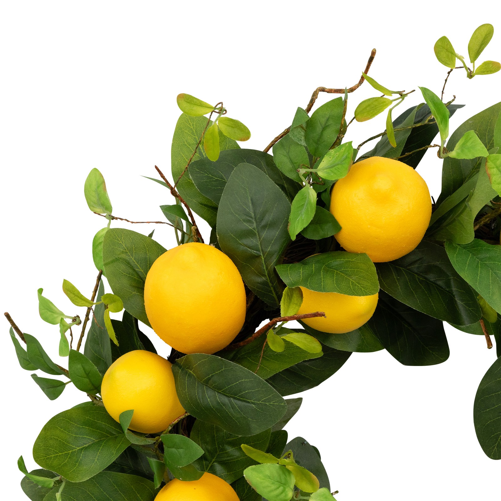 Northlight Lemons and Assorted Foliage Spring Wreath, Yellow and Green 20-Inch