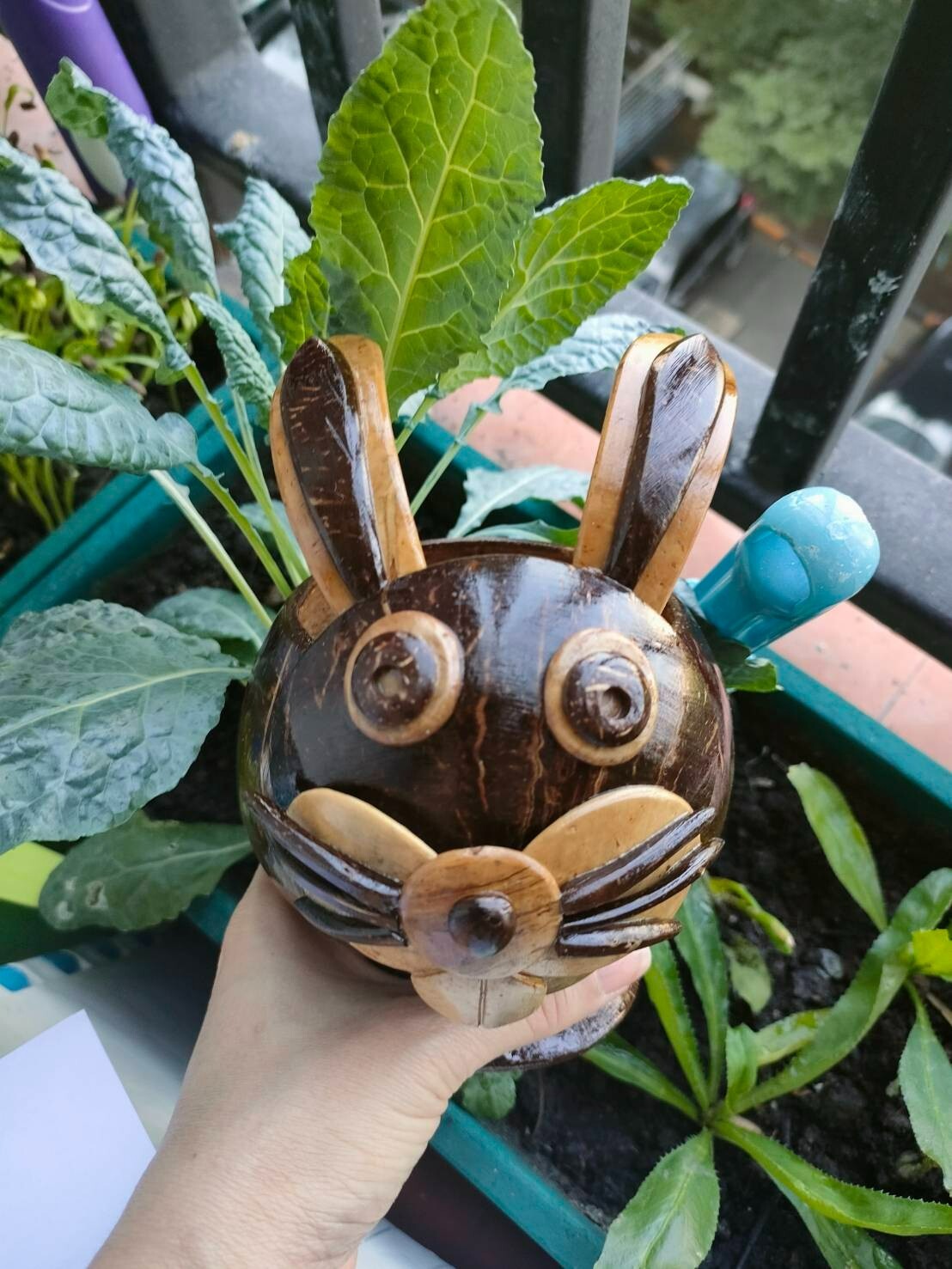 Coconut Shells Rabbits Planting Trees Artificial Things Home Decoration Nature