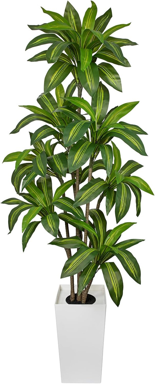 6FT Lifelike Artificial Dracaena Tree in White Pot for Home & Office Décor