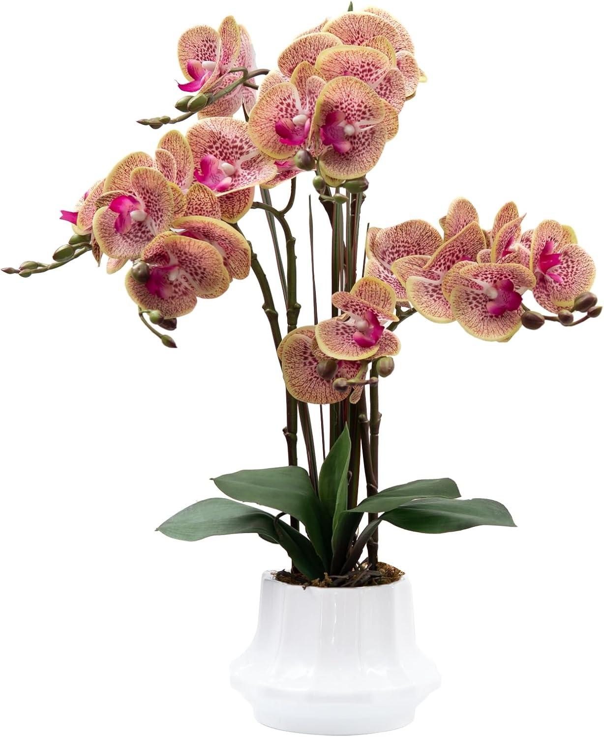 Real Touch Purple Orchid Arrangement in Ceramic Vase – 20.9” Faux Flowers