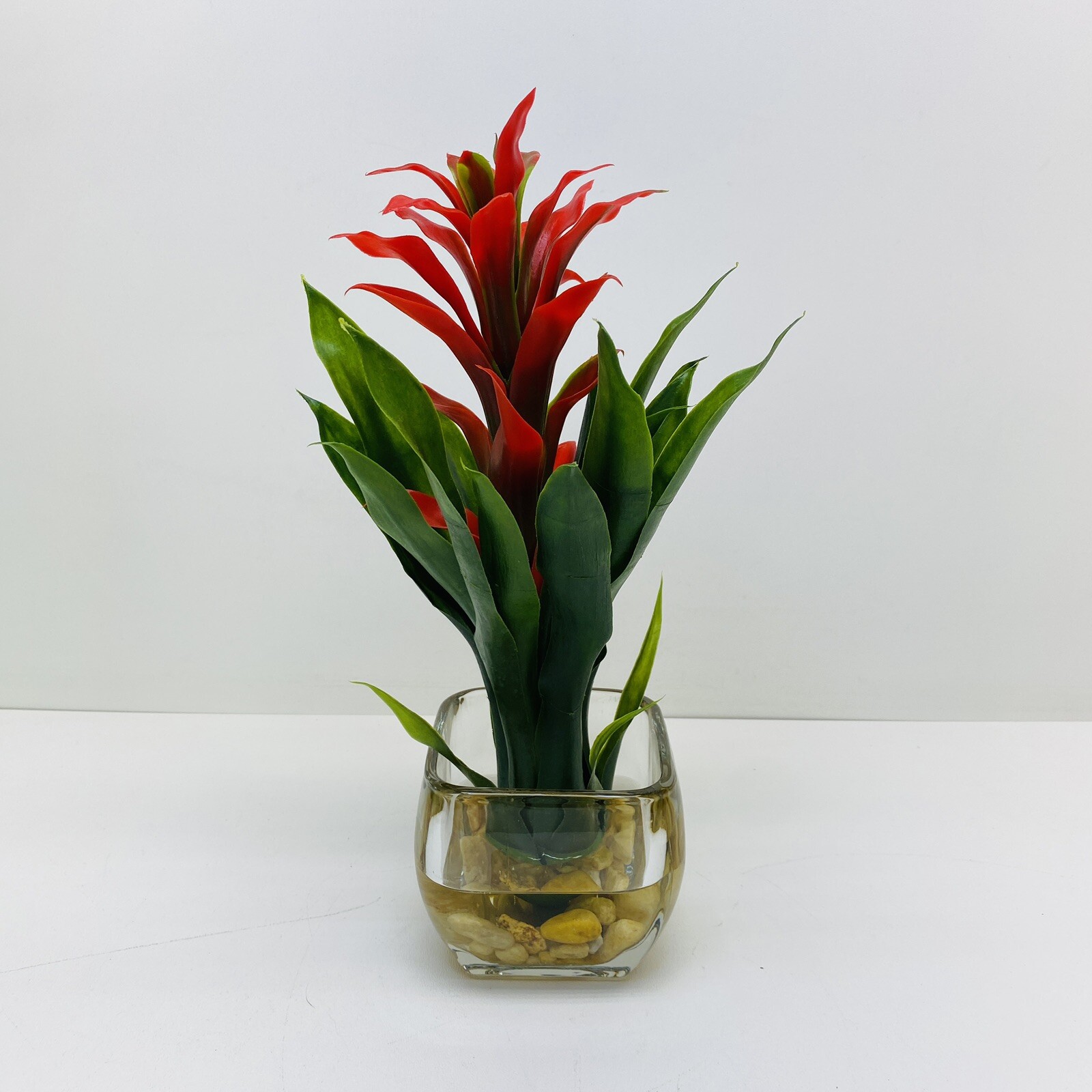 Modern Bromeliad with Glass Vase Arrangement 12″ Red