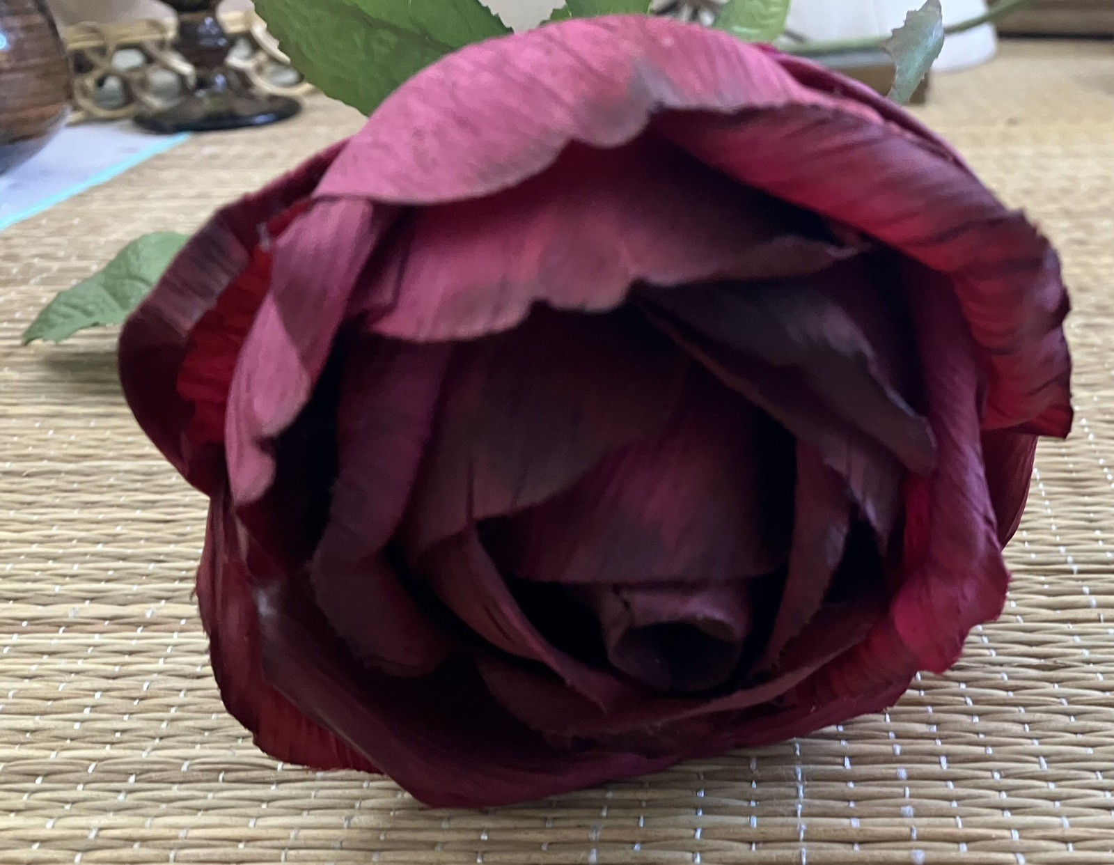 Vintage French 90’s Artificial Dark Red Cabbage ROSE Flower w/ Leaves, Long Stem