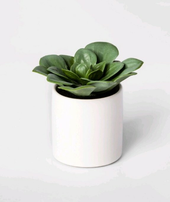 Green Succulent In White Pot 4.5″ x 4″ Project 62 Target Artificial Dudleya