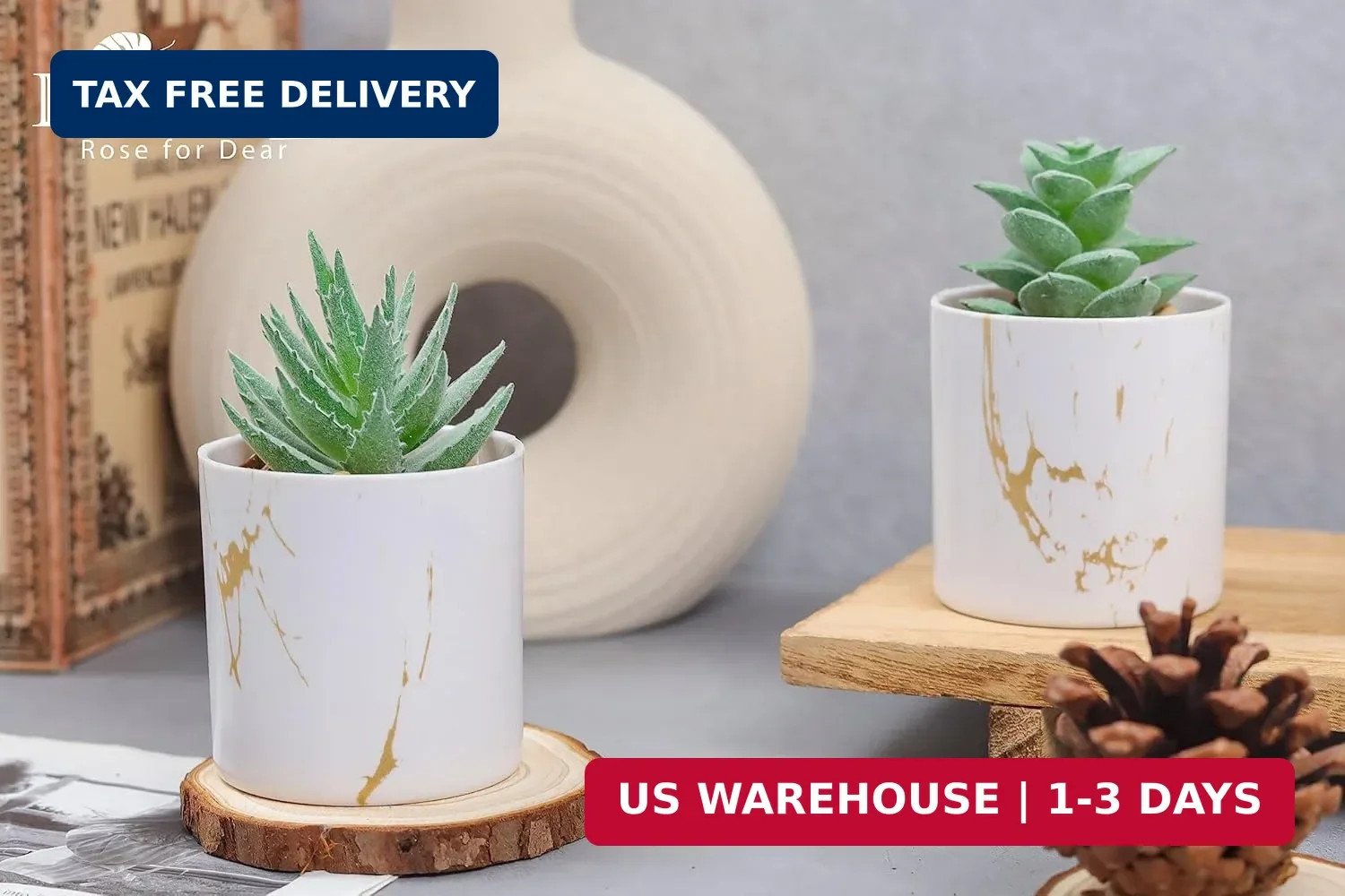 Der Rose Set of 2 Succulents Plants Artificial Mini Fake Succulents Plants for H