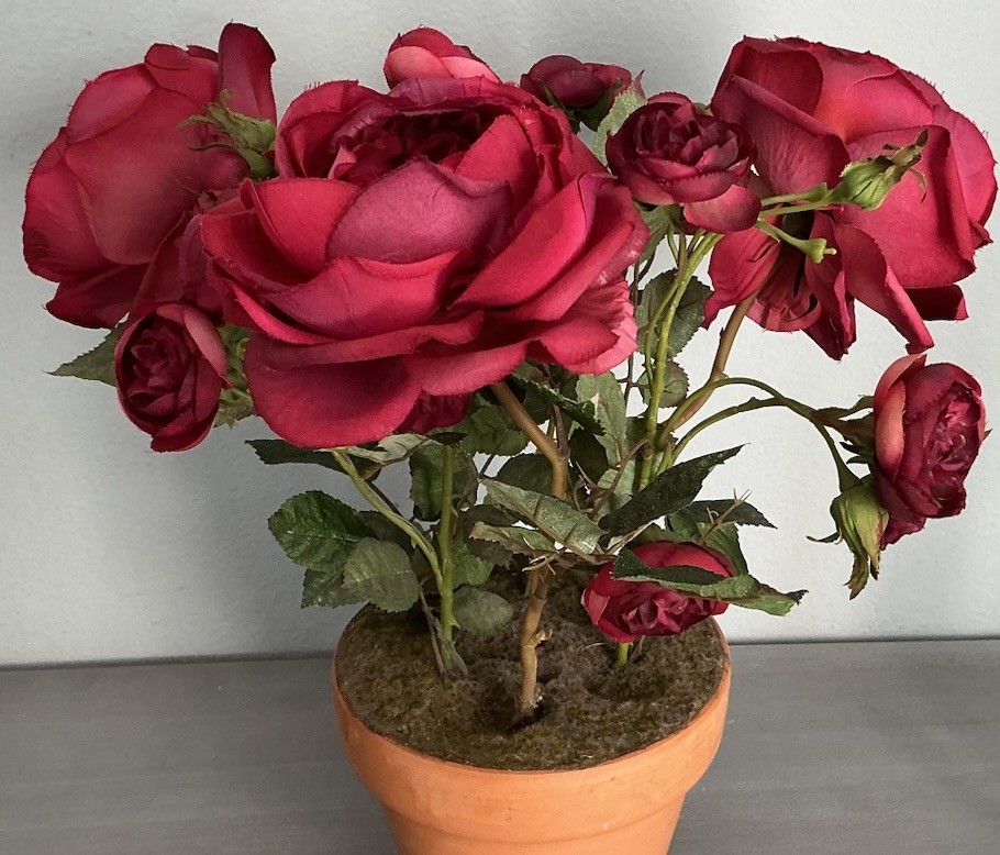 Realistic Artificial Camellia Red Roses Floral Arrangement Terracotta Pot 15’’