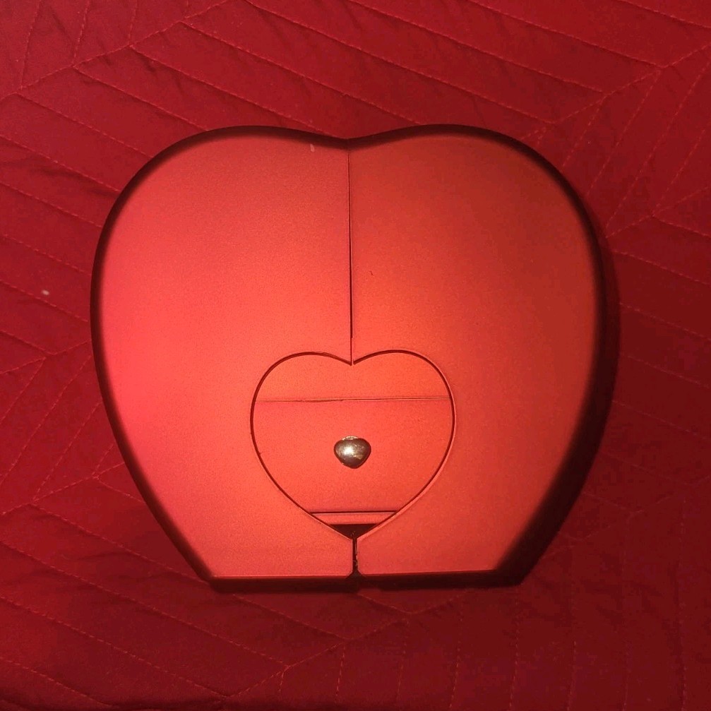 READ DESC Heart/apple?shaped jewelry box with glass cased rose inside + necklace