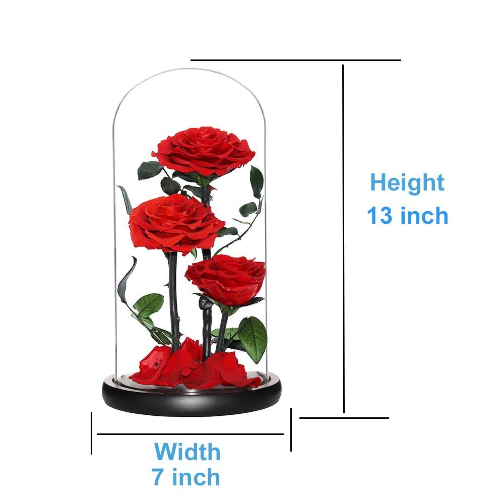 Perfectione Roses Handmade Preserved Rose in Glass Dome – Red Birthday Gift for