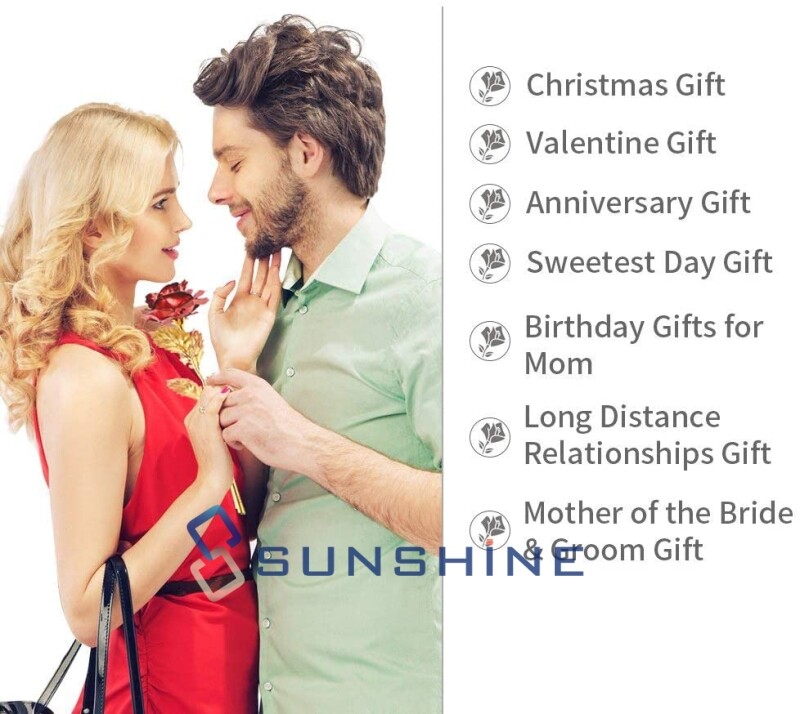 Romantic Eternal Rose Flower In Dome Glass LED Night Light Anniversaries Xmas