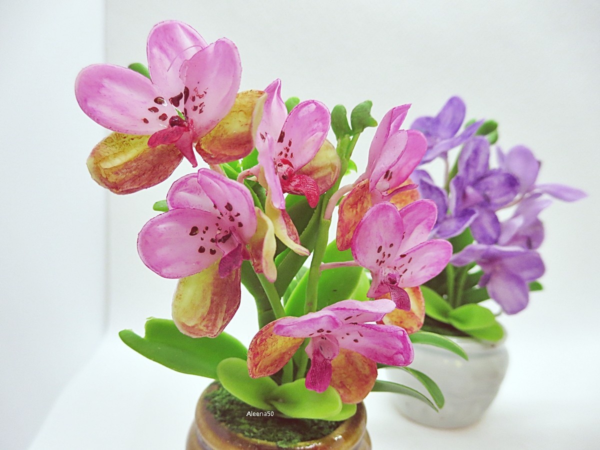 US Stock 3.5″H Variation Hand-Clay-Crafted Miniature Vanda Orchid in Ceramic Pot