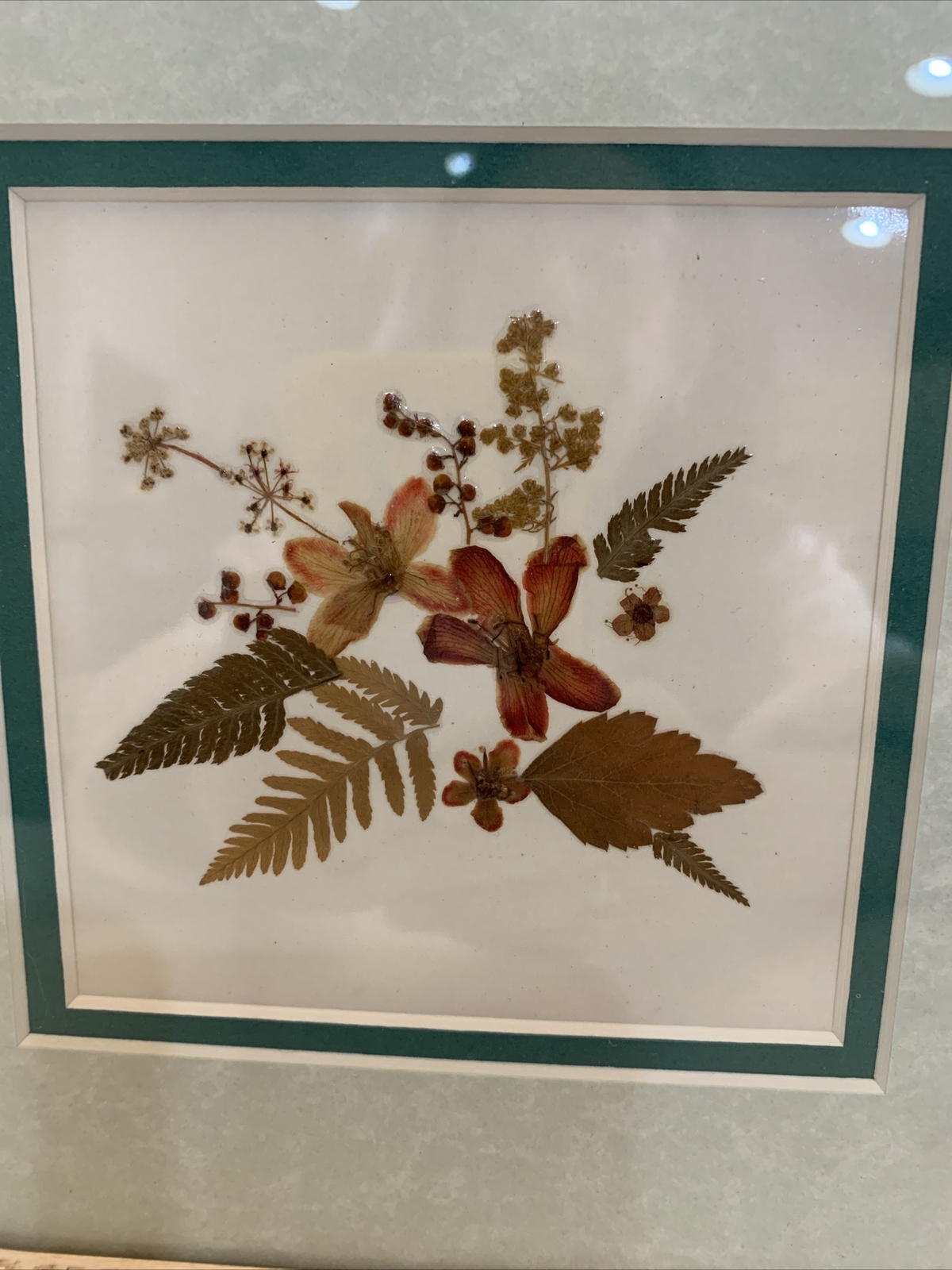 Dried Pressed Flowers Wall Hanging Art Floral Handmade Vintage Framed 9” Square