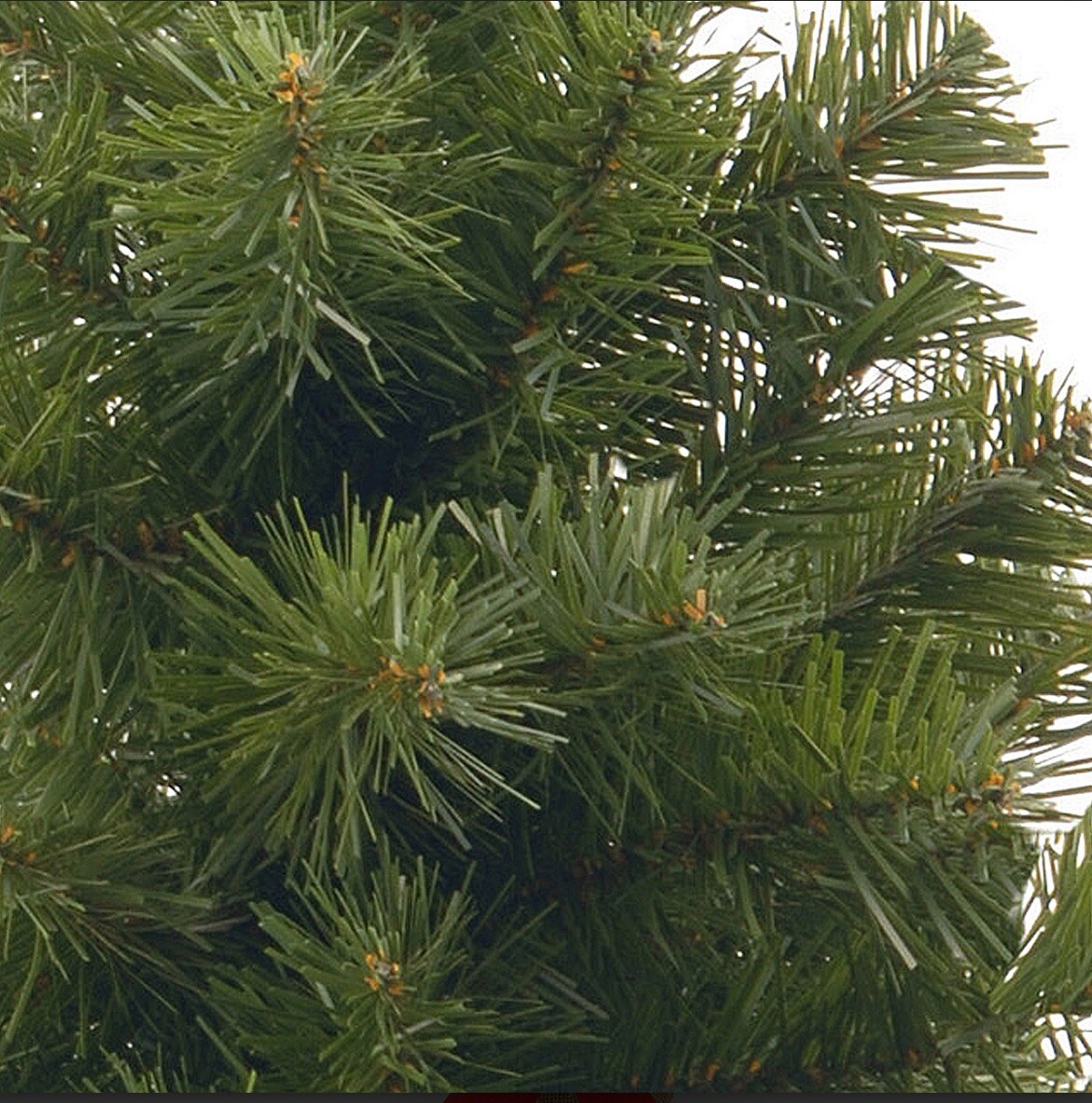 National Tree Company 2 ft. Noble Spruce Tree (fast Same Day Shipping)