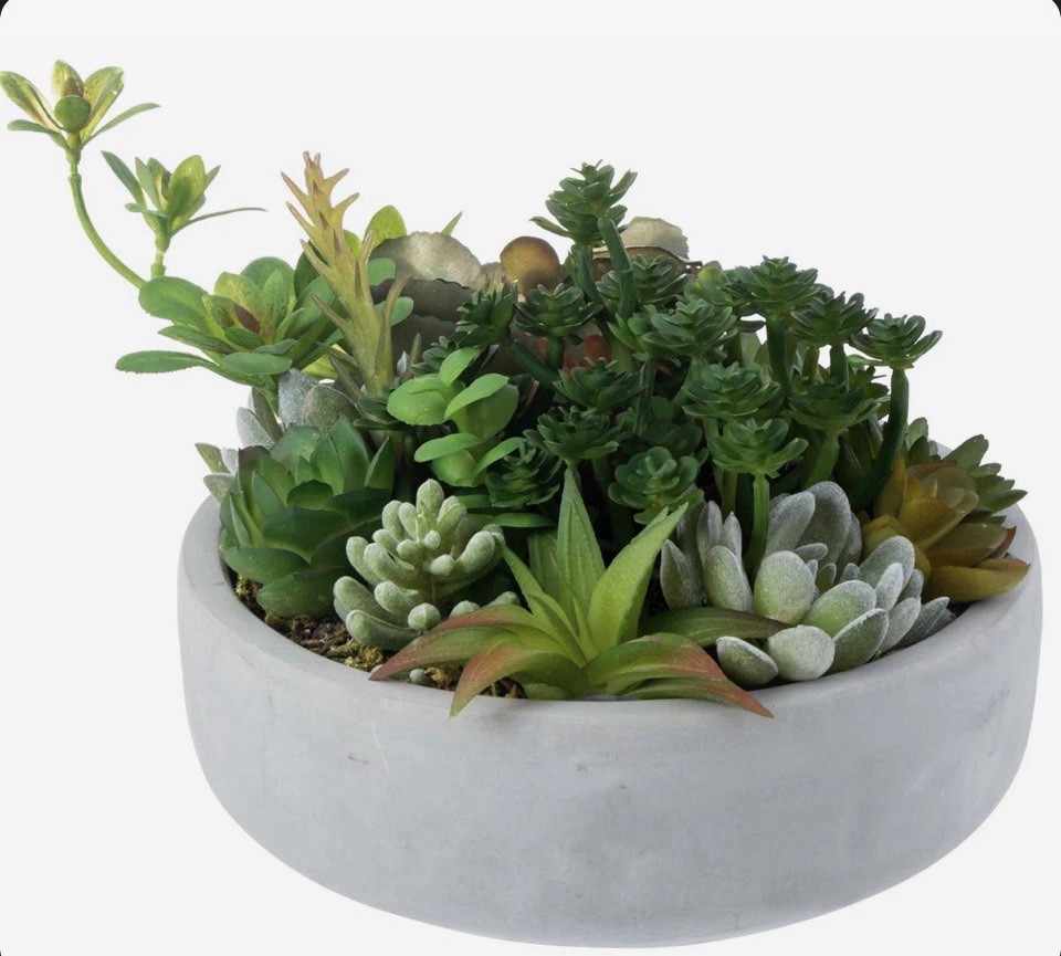 Primrue Benita 7″ Faux Succulent Plant in Cement Pot