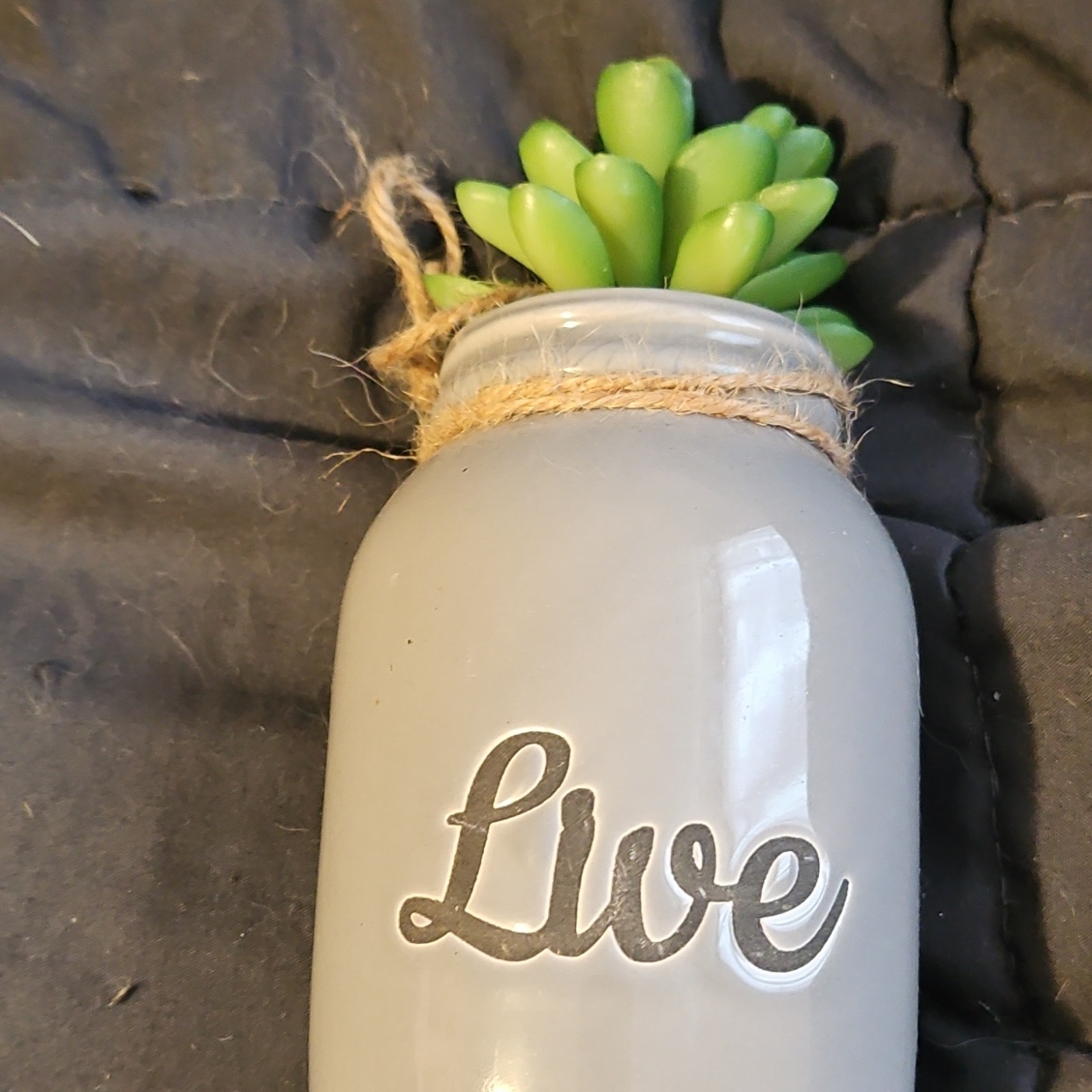 Artificial Succulent in Gray Ceramic Planter with ‘Live’ Text and Rope Accent