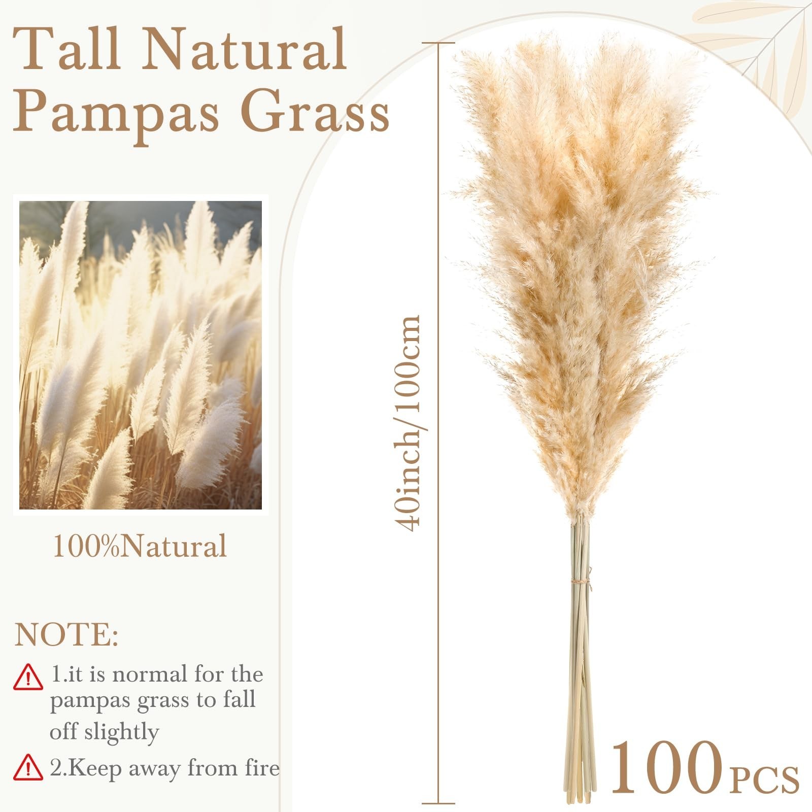 100 Stems Dried Pampas Grass – Large Natural Beige Decor for Weddings, Boho Home