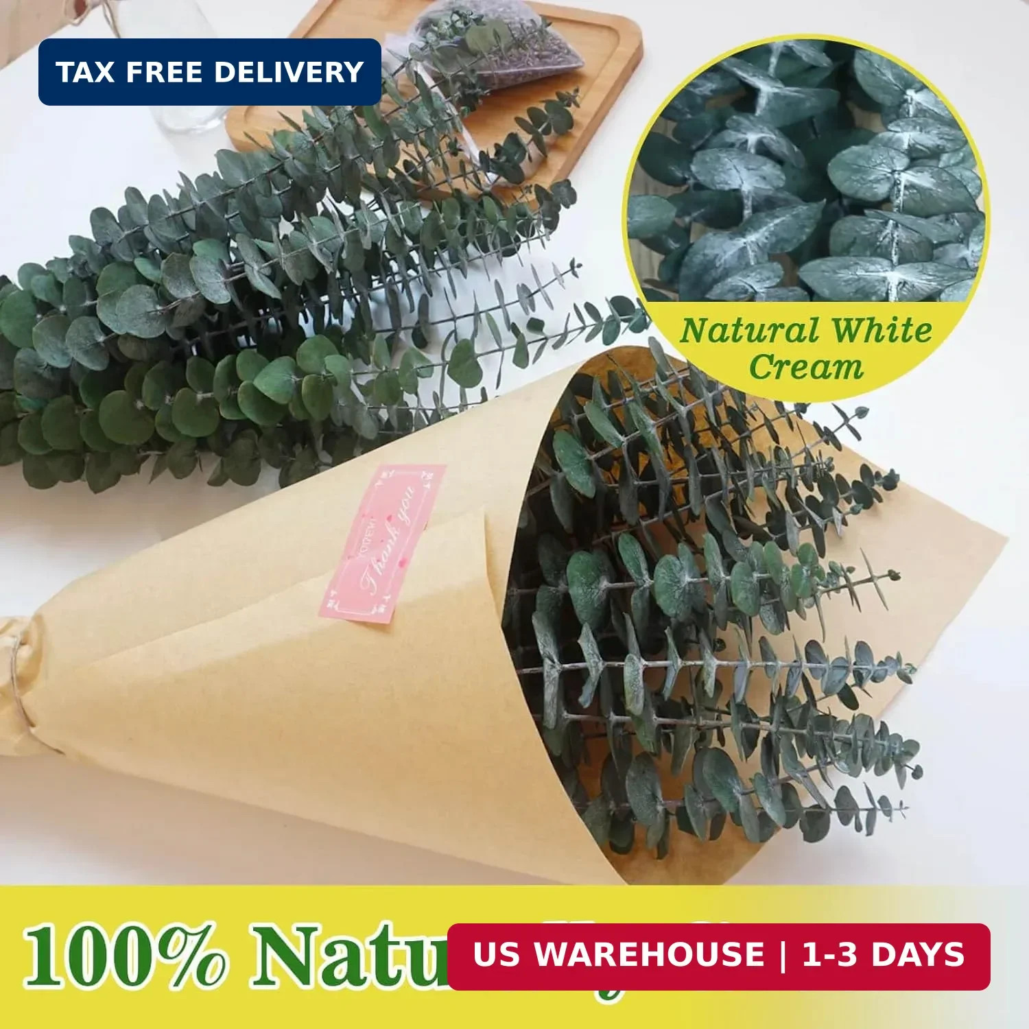 11 PCS Real Dried Eucalyptus Stem for Shower & Bathroom Decor – 17” Large Natur