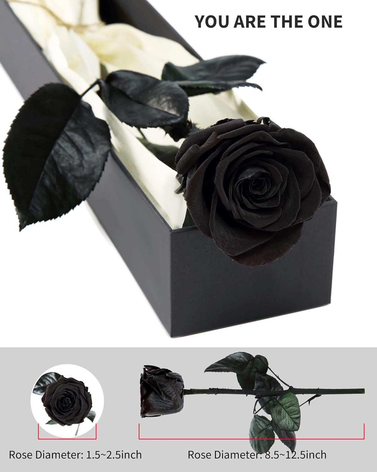 Black Preserved Roses for Delivery – Single Flower Gifts for Her