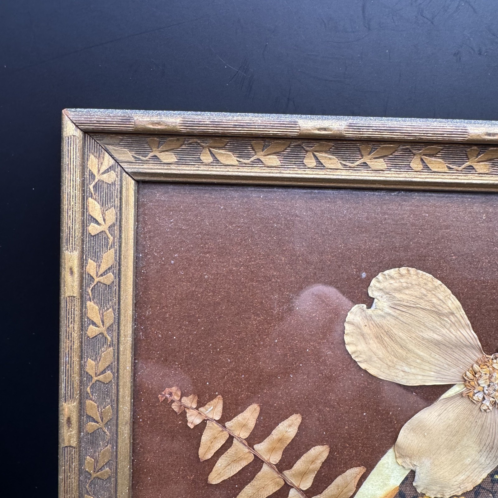 Vintage Pressed Dried Flower Art Wooded Botanical Frame Signed by Artist
