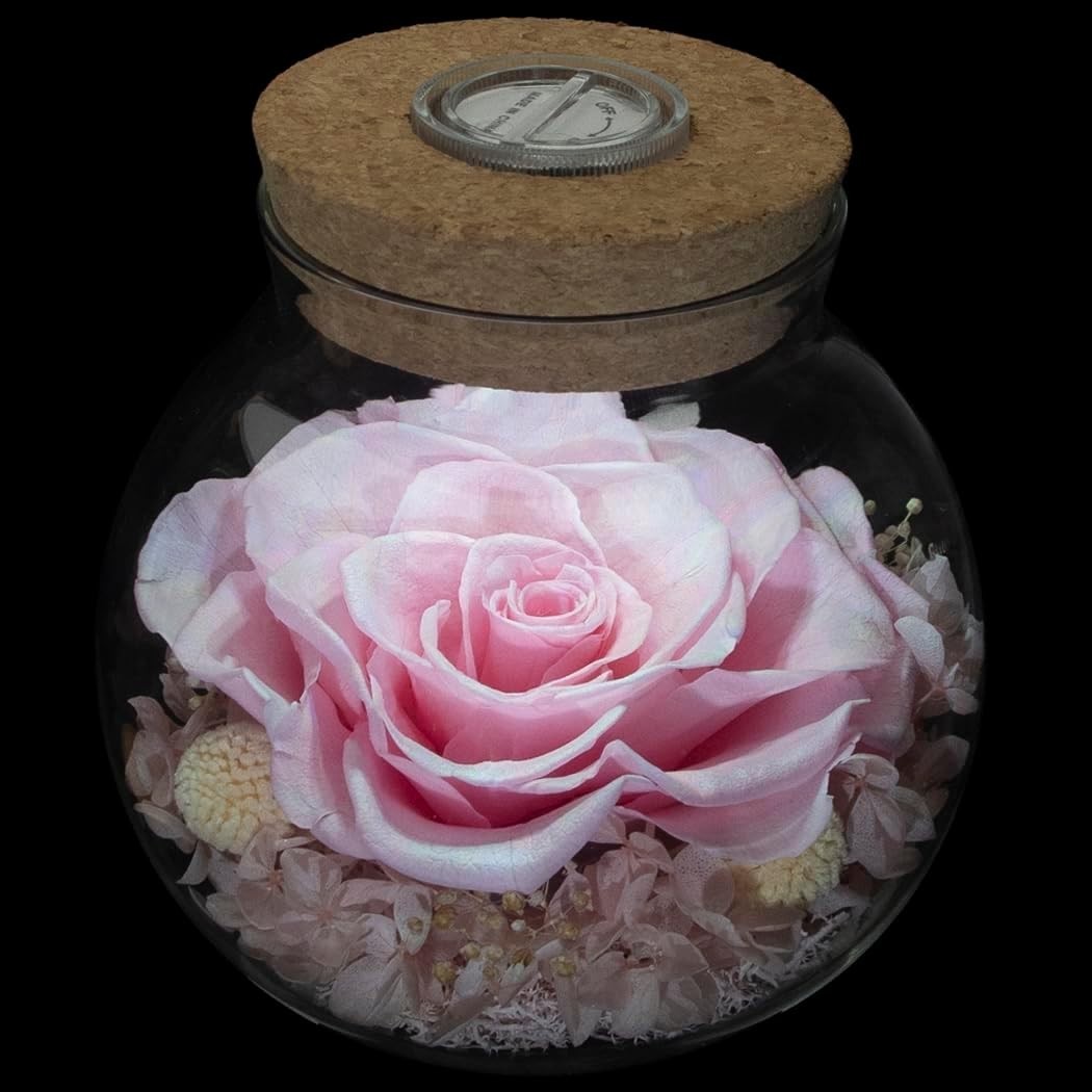 Charming Pink Preserved Rose with LED Light in Glass Bottle – Gift of Love