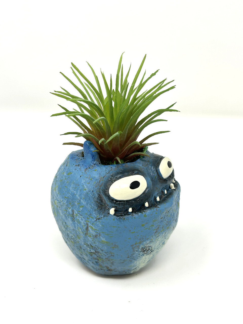 4 in. Potted Blue Monster MURPHY Blob House Mini pot WITH faux Ionantha Air plan