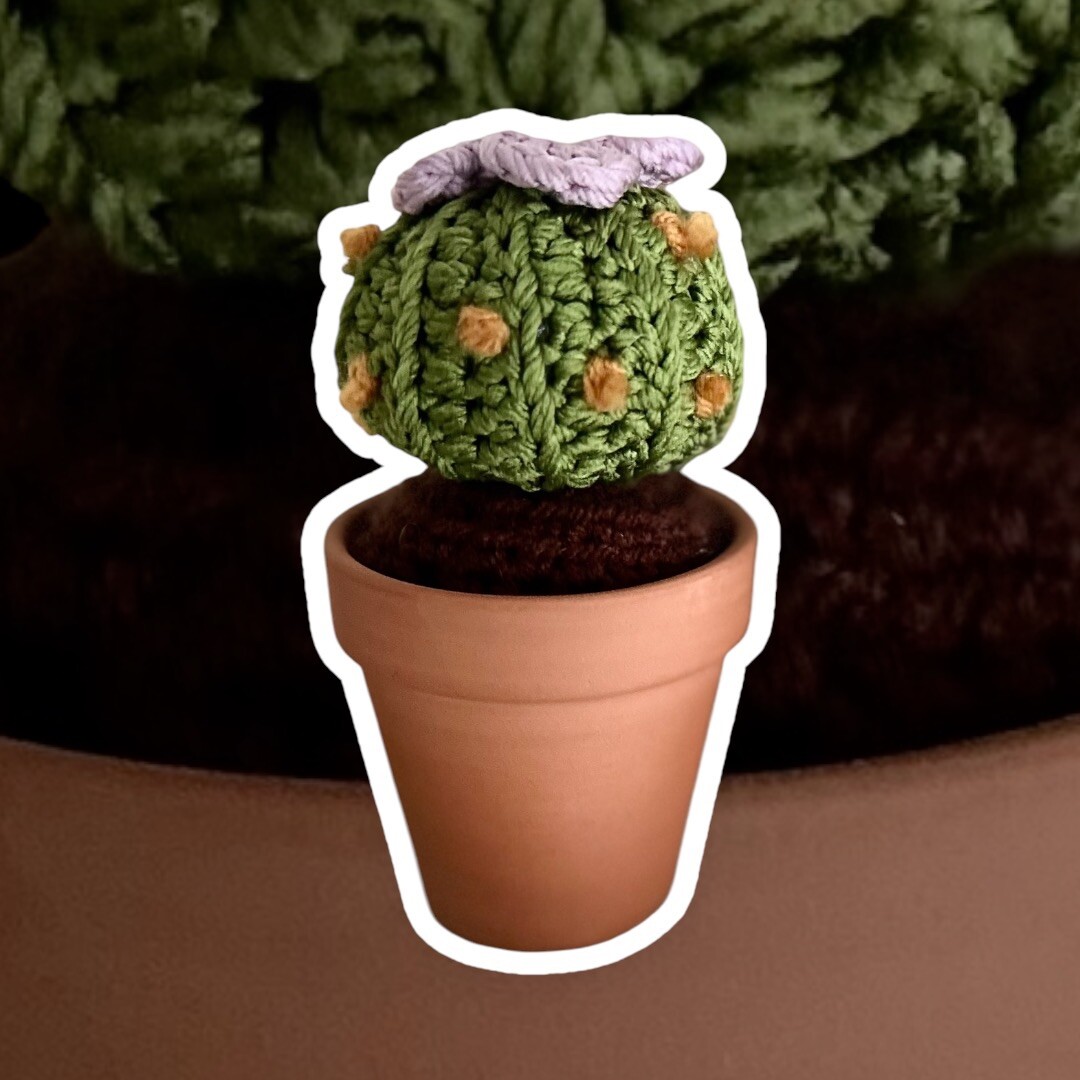 Handmade Crochet Cactus with Flower Decor With Terracotta Pot