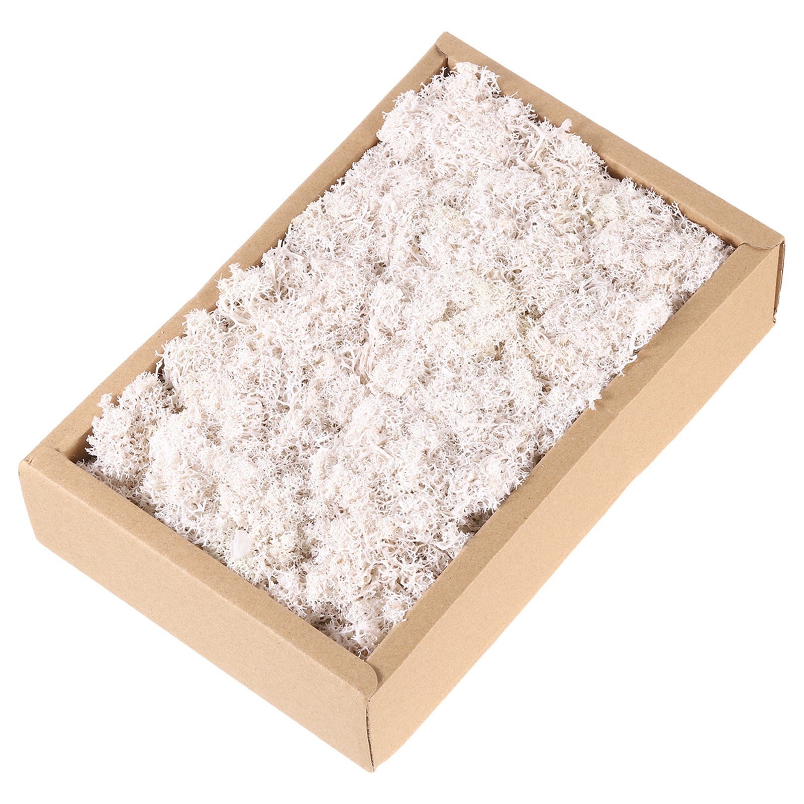 7.8oz Preserved Reindeer Moss, White Decorative Artificial Fake Moss