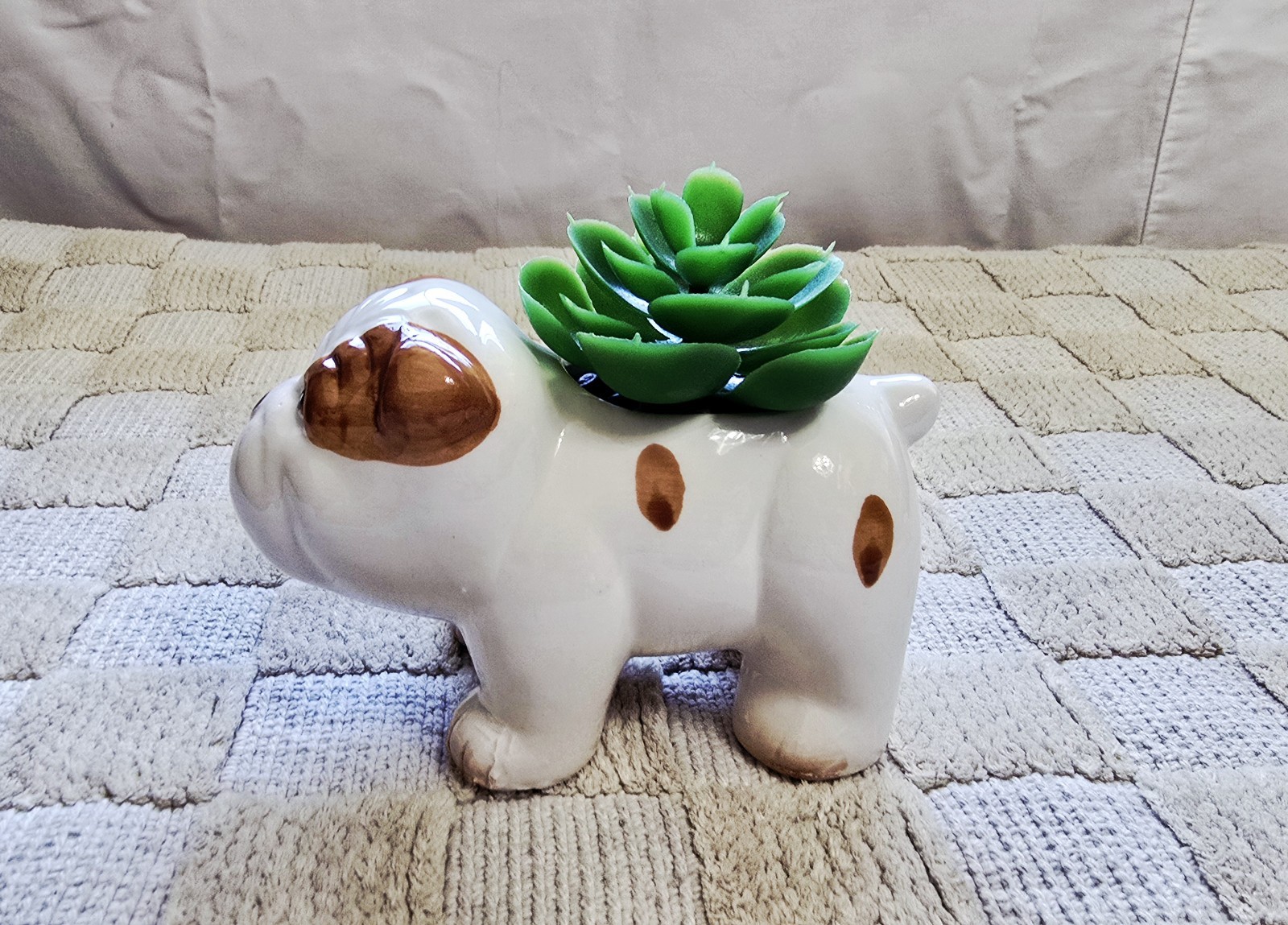 Old East Main Co. High Quality Animal Shape Planters With Lifelike Succulent