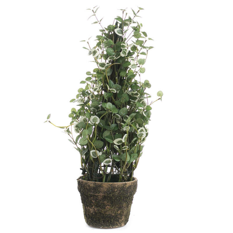 Set of 2 Artificial 18″ Variegated Ivy in Faux Terra Cotta Planters
