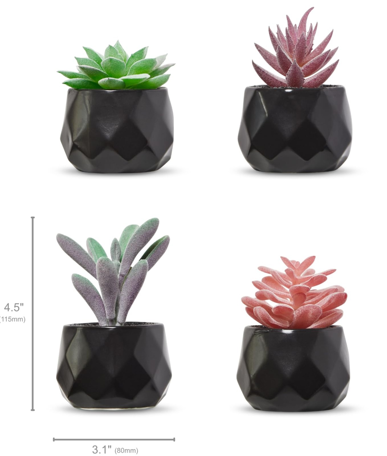 Nordik Set of 4 Desk Plants – Geometric Round Black Pots – Perfect for Bathro…
