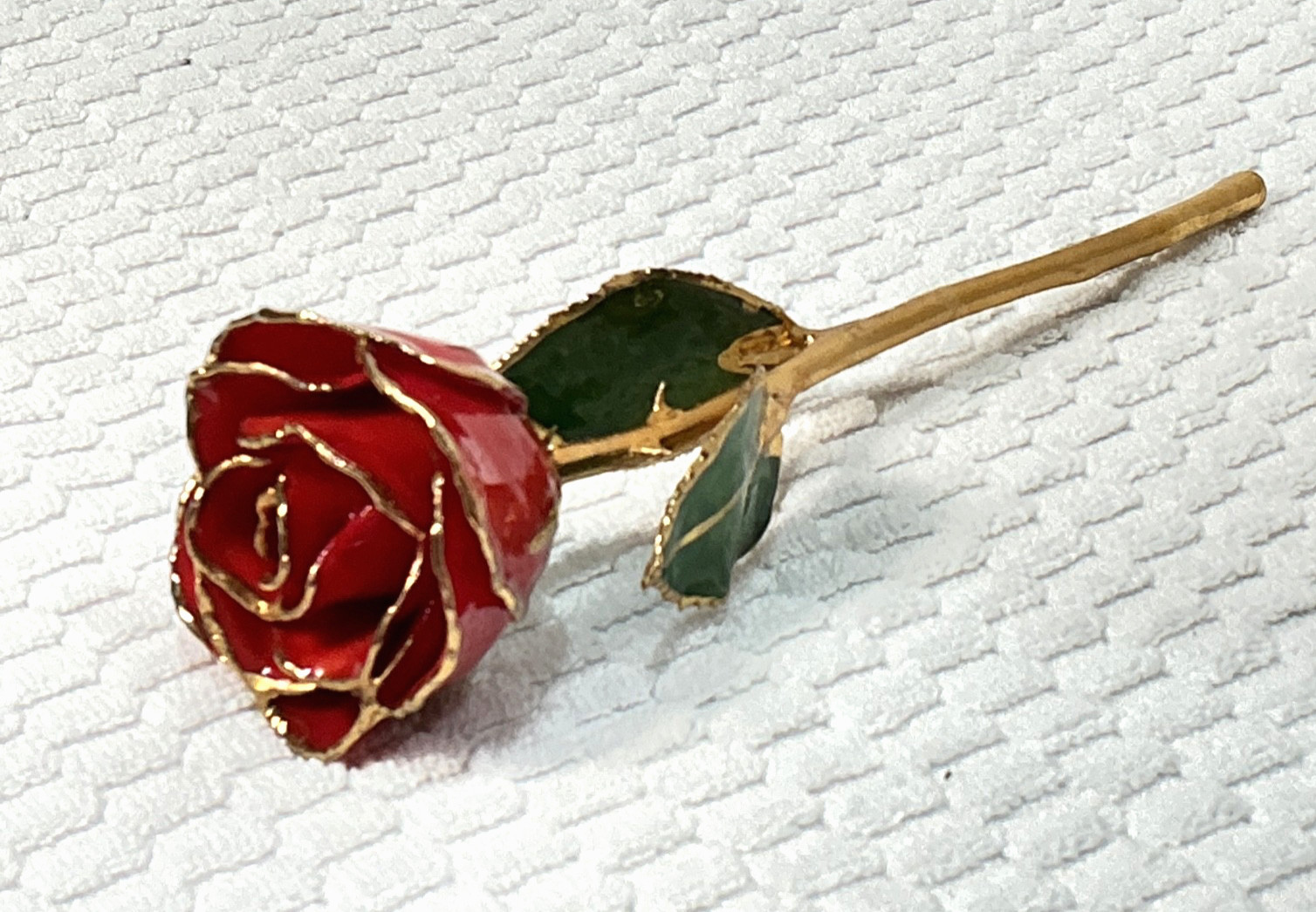 24k & Enamel Preserved Real Red Rose With Thorns Forever Keepsake
