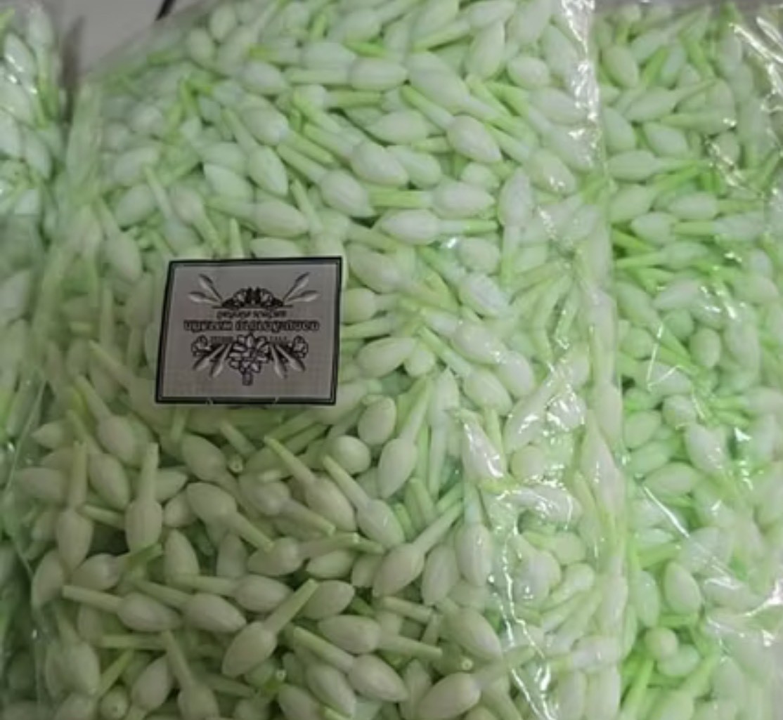 500 Jasmine Flowers Blossom Thai Artificial D.I.Y Handcrafts Malai Decorative