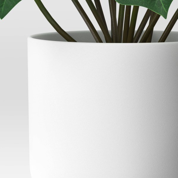 4.6"x7.2" Monstera Artificial Plant – Room Essentials