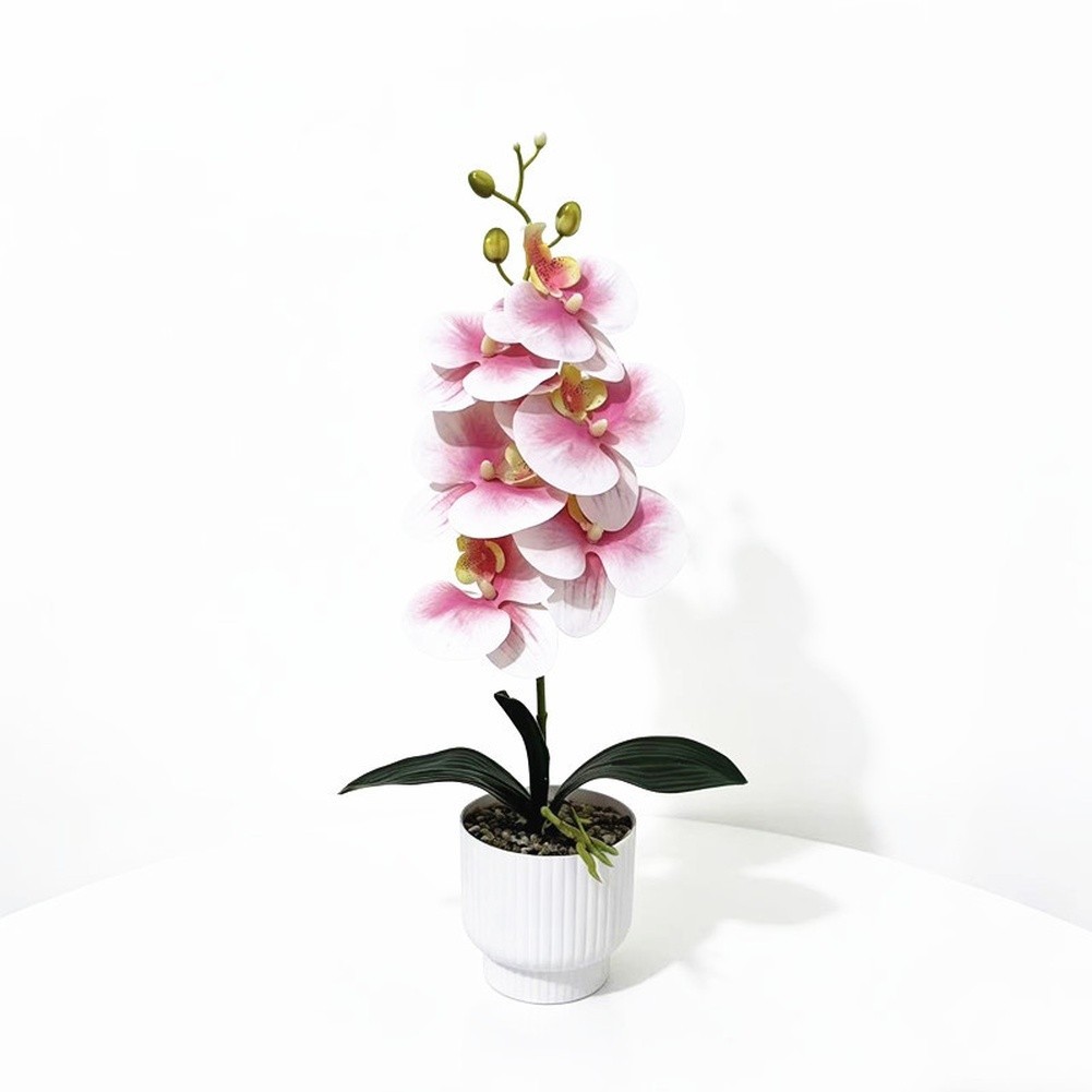 42cm Phalaenopsis Orchid Fake Flower Plastic Stem with Natural Texture