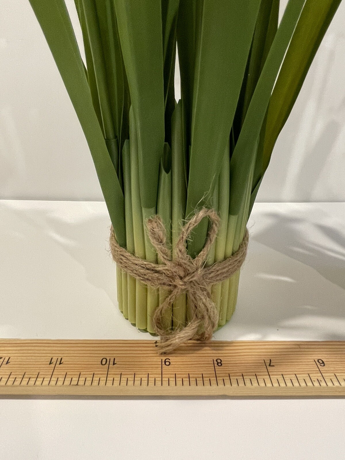 Valerie Parr Hill Daffodil Bundles – Large 15” White Set of 2 NEW