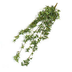 Set of 2 Factory Direct Craft Artificial English Ivy Bushes