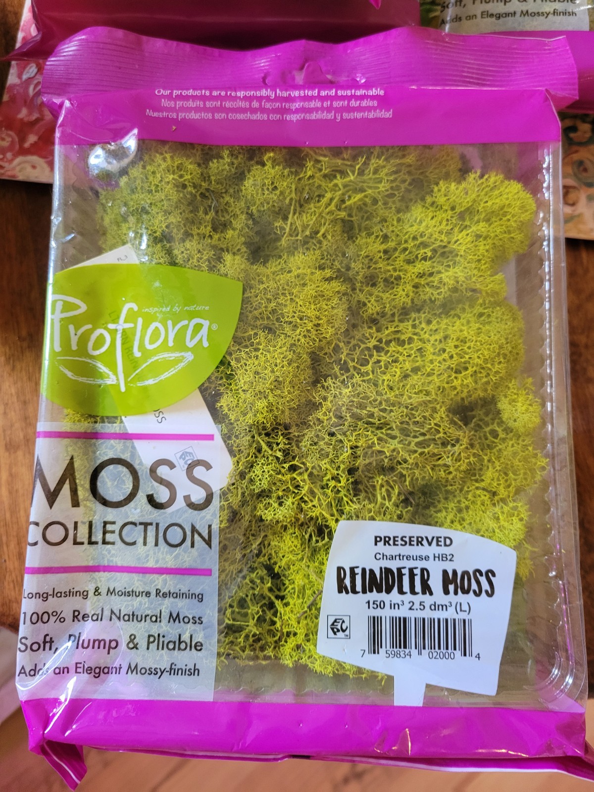 Reindeer Lichen Moss Terrariums Living Wall Railroad Scenery LOT x5 Chartreuse