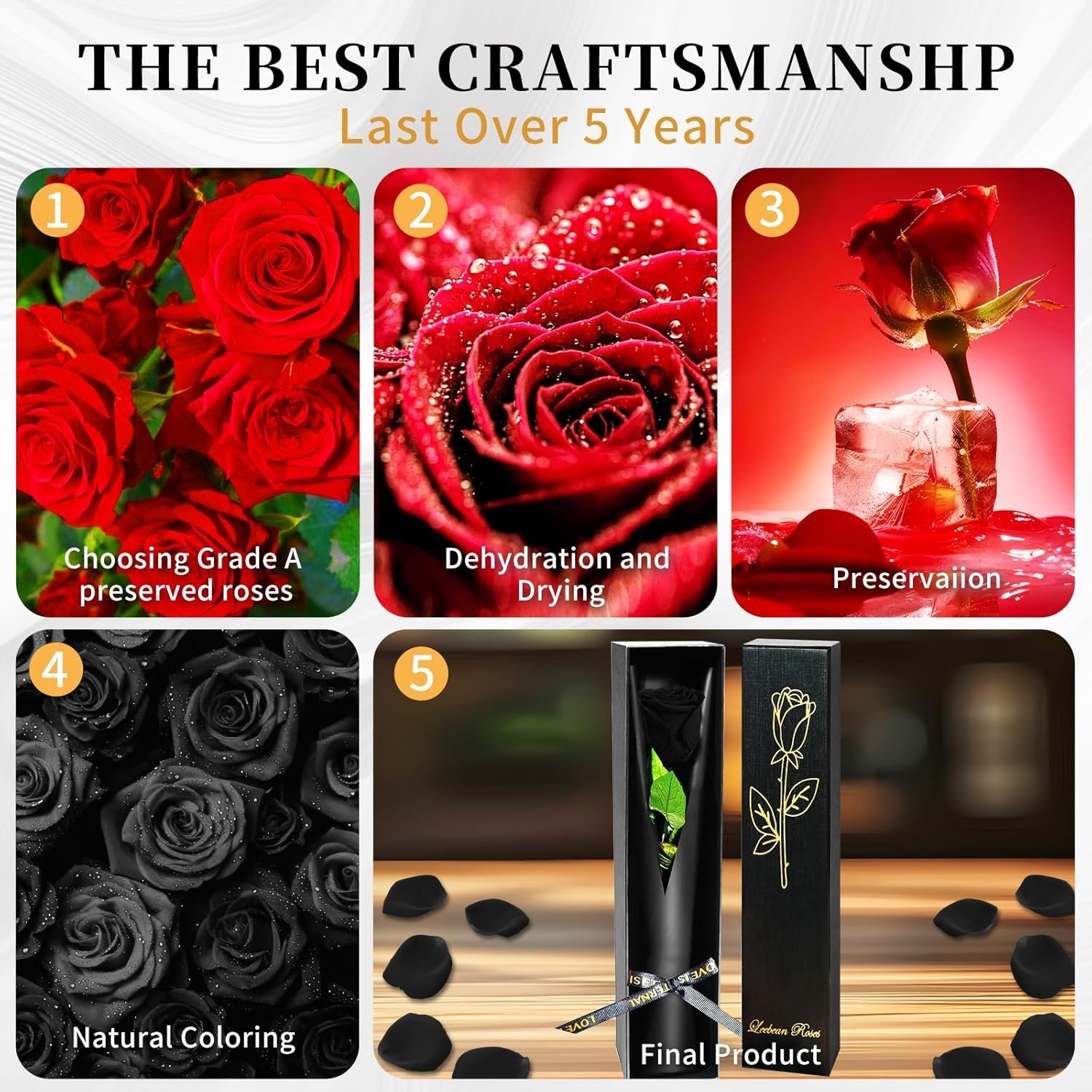 Black Preserved Roses for Delivery – Single Flower Gifts for Her