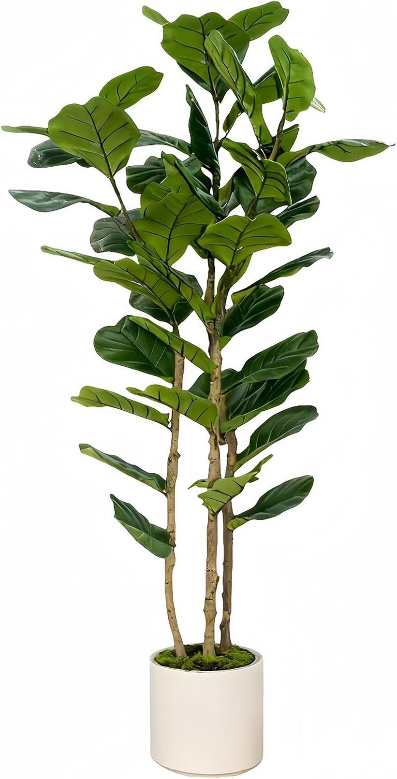 6FT Artificial Fiddle Leaf Fig Tree with White Planter – Faux Indoor Plant
