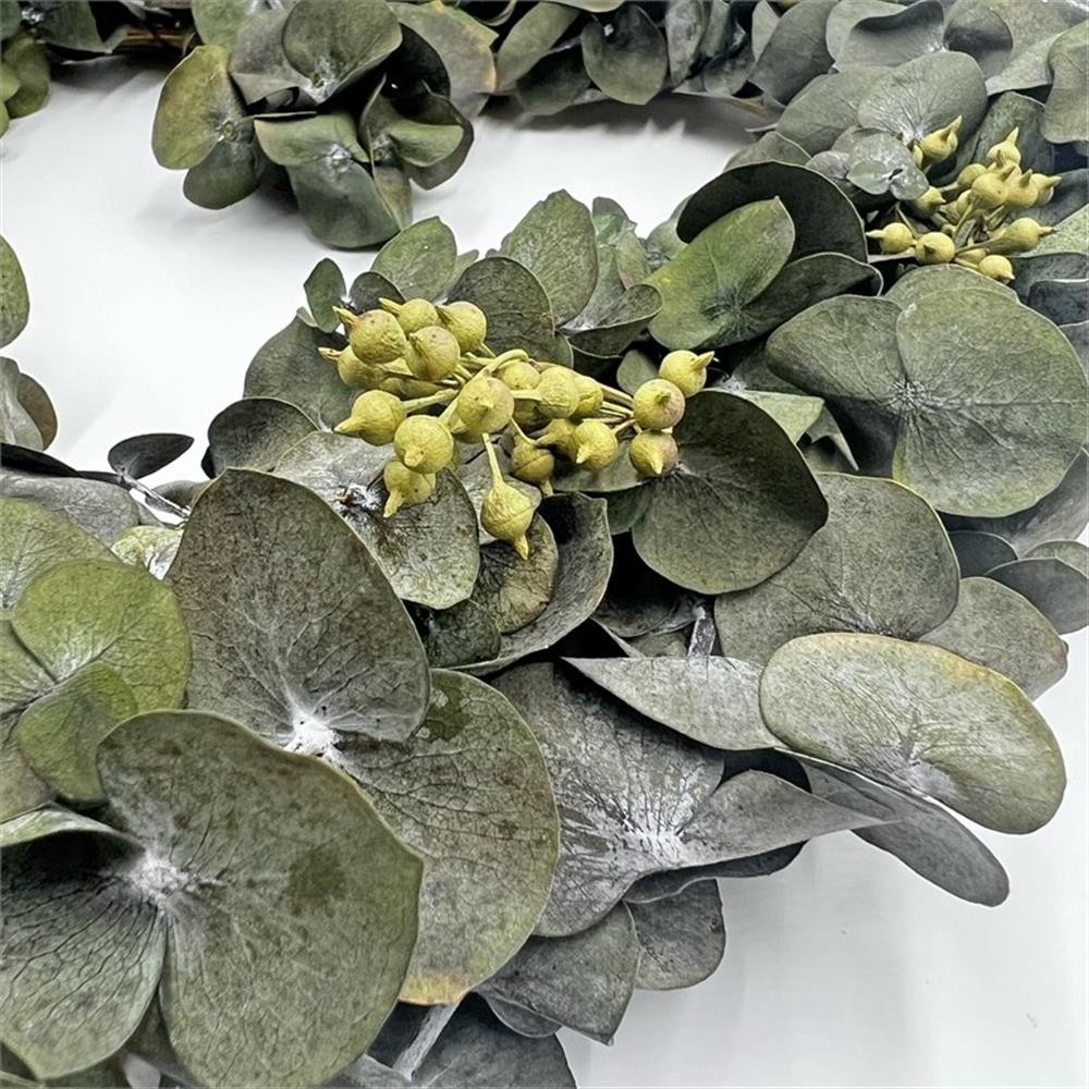 Pemberly Row Dried Preserved Valentines Day Real Green Eucalyptus Heart Wreath