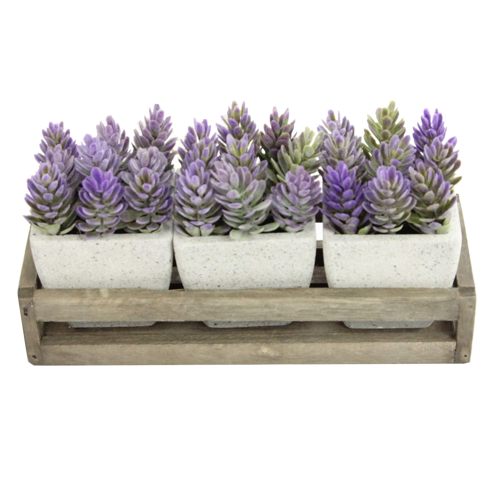 3pcs Succulents Terracota Rustic Style W/Wooden Tray Indoor Spring Summer Fau…
