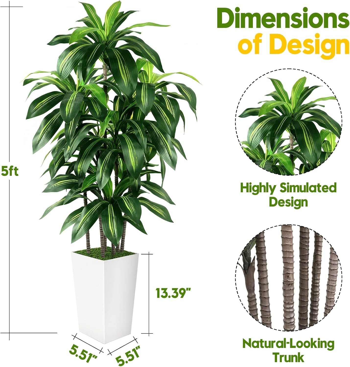 Elegant 5FT Dracaena Tree with White Planter – Perfect for Housewarming Gifts