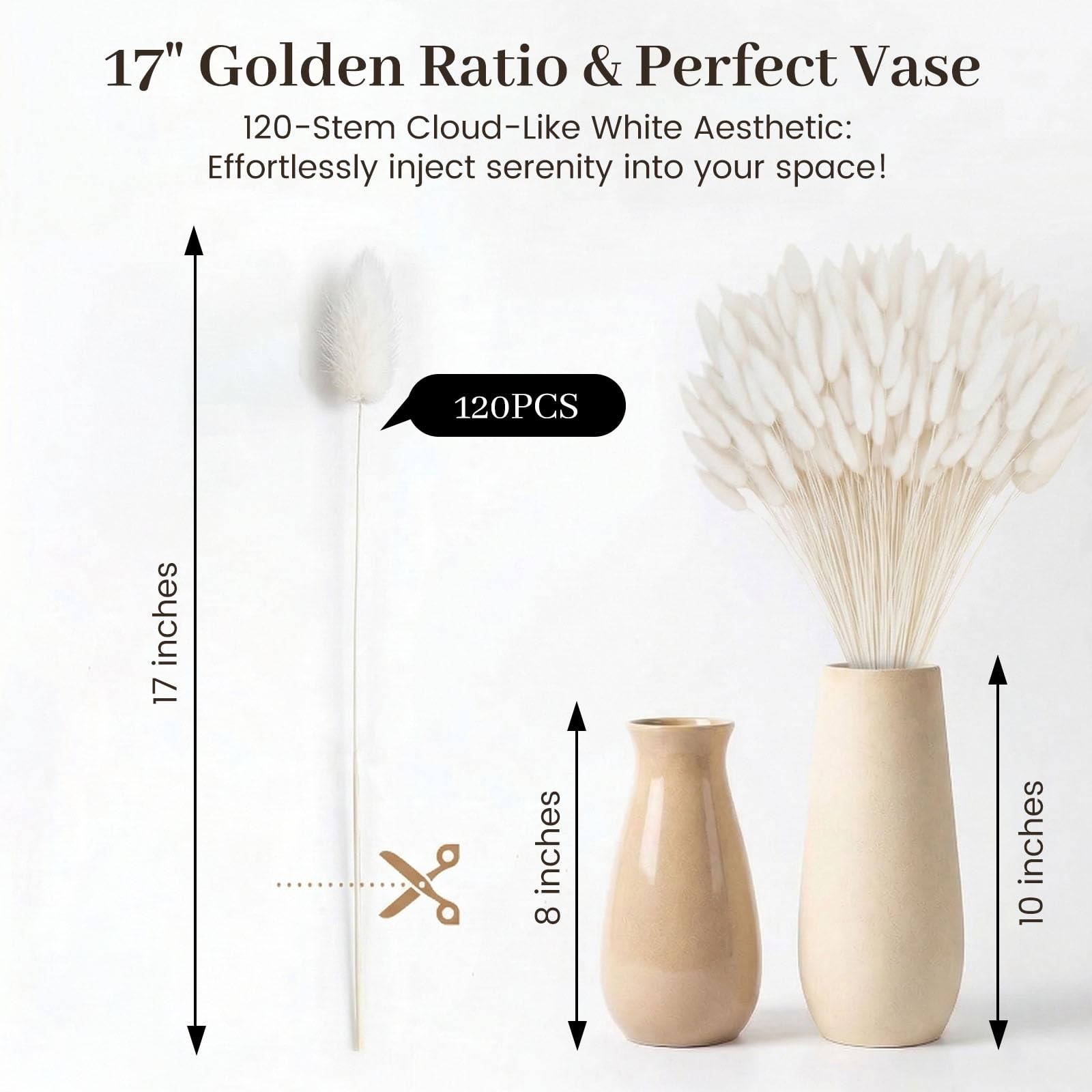 120PCS Dried Pampas Grass Decor, 17inch White Bunny Tails Dried Flowers, Bunn…
