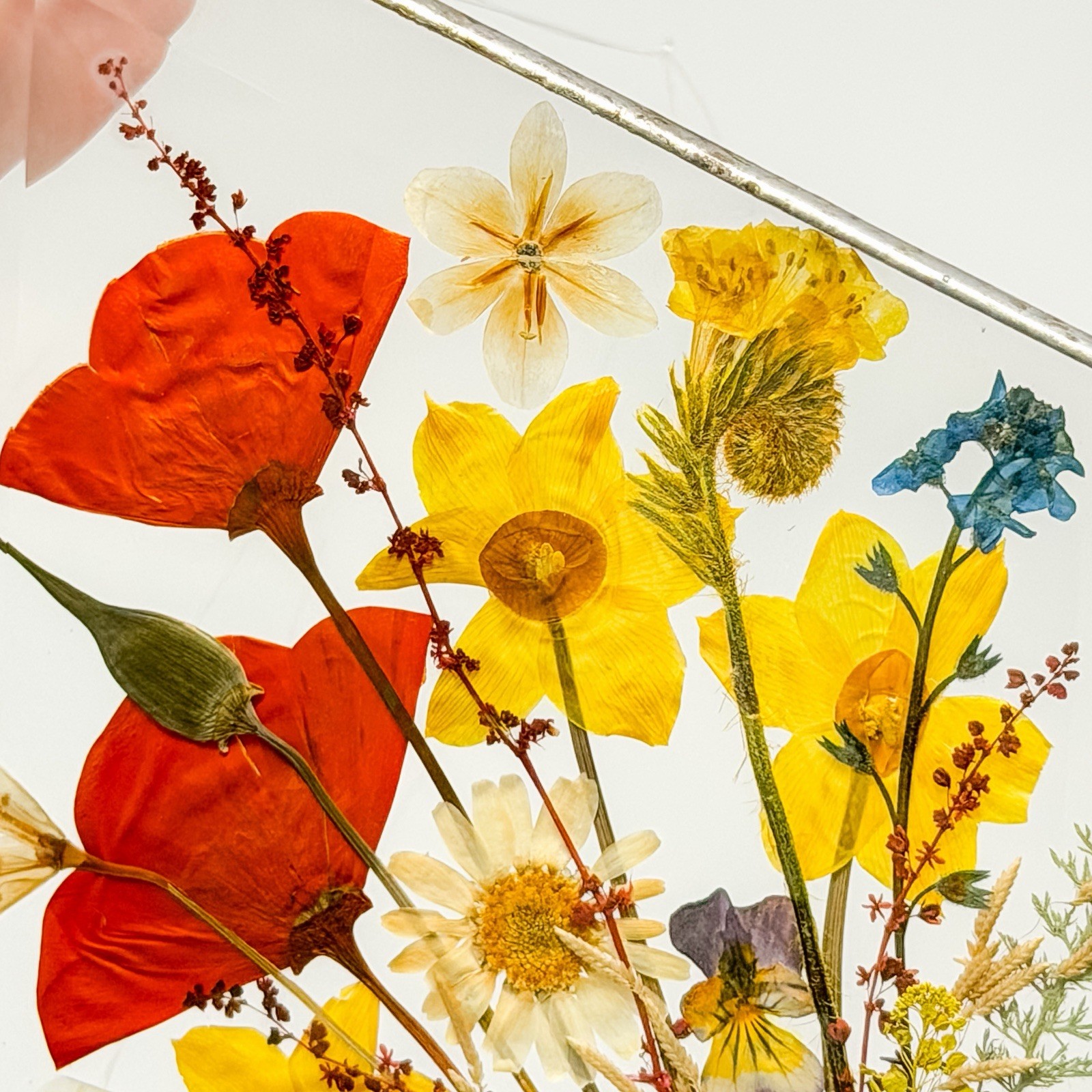 Vintage Pressed Flower Glass Suncatcher Hanging Panel Soldered Metal Frame 6×9