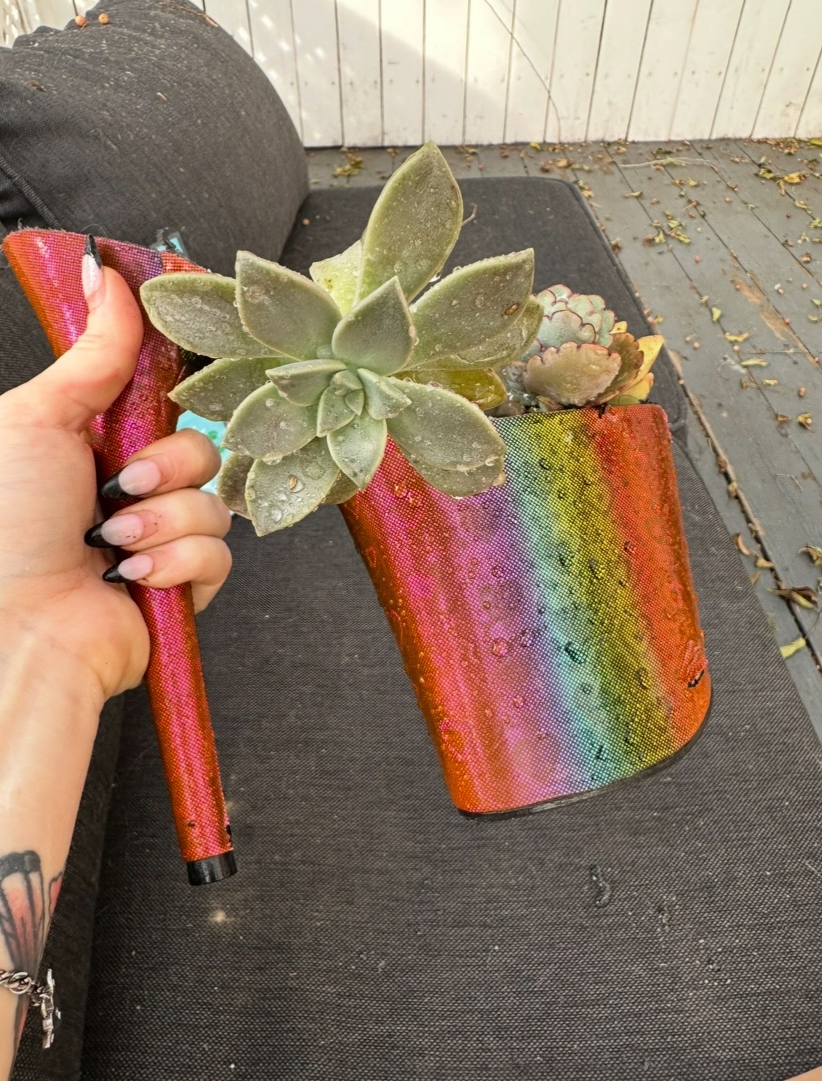 home decor plants