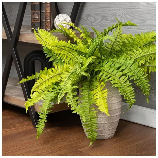1 Bush Natural Look 23″ x 29″ Artificial Boston Fern Decorative Bush