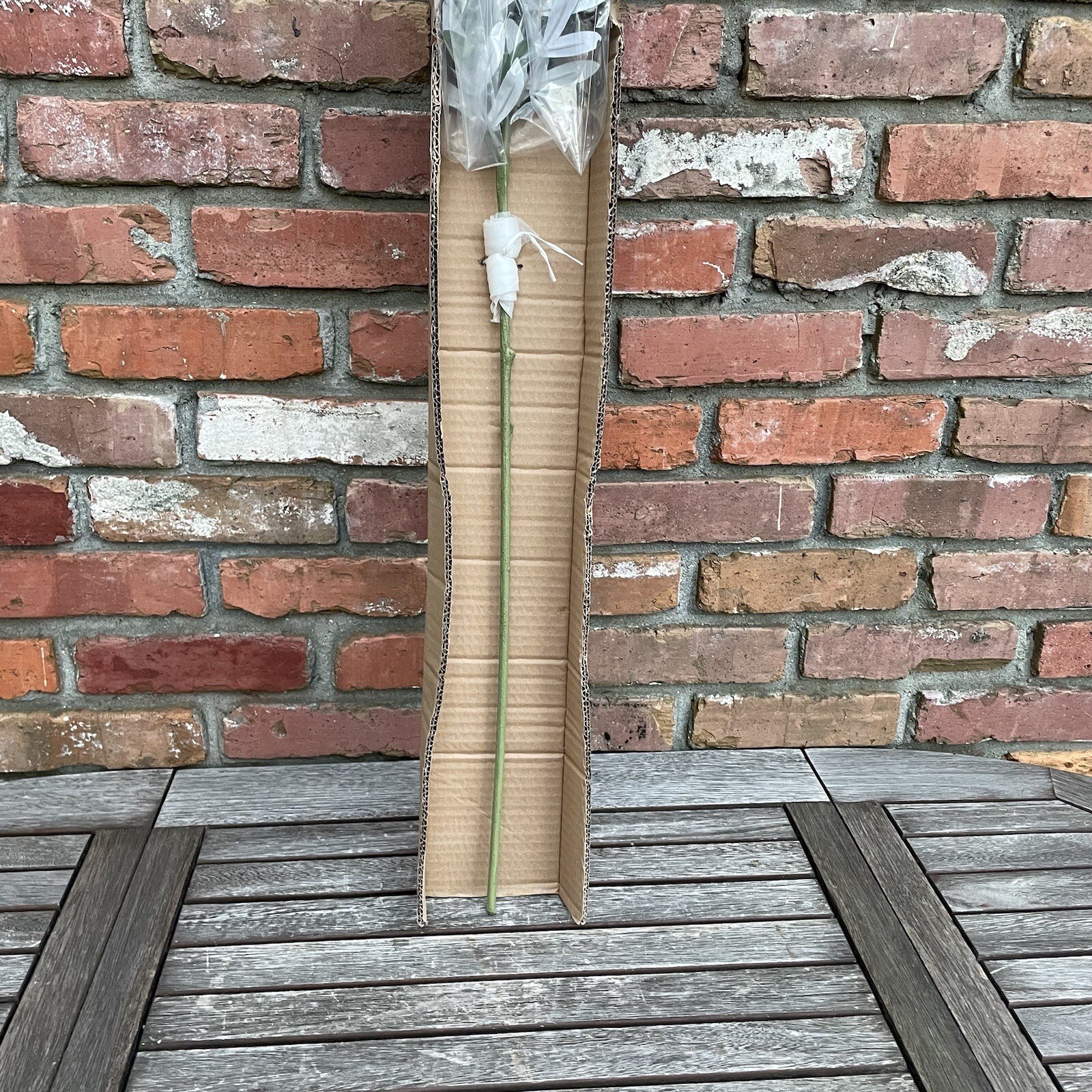 Pottery Barn Faux Decorative Olive Branch (1) Green Large 59” long NIB