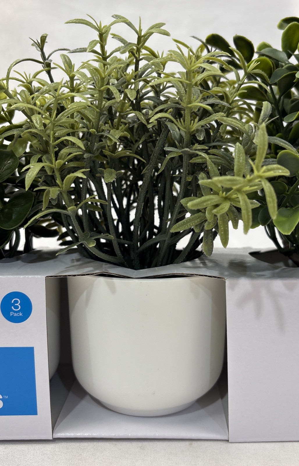 Room Essentials Three Herb Artificial Plants in White Pots. New