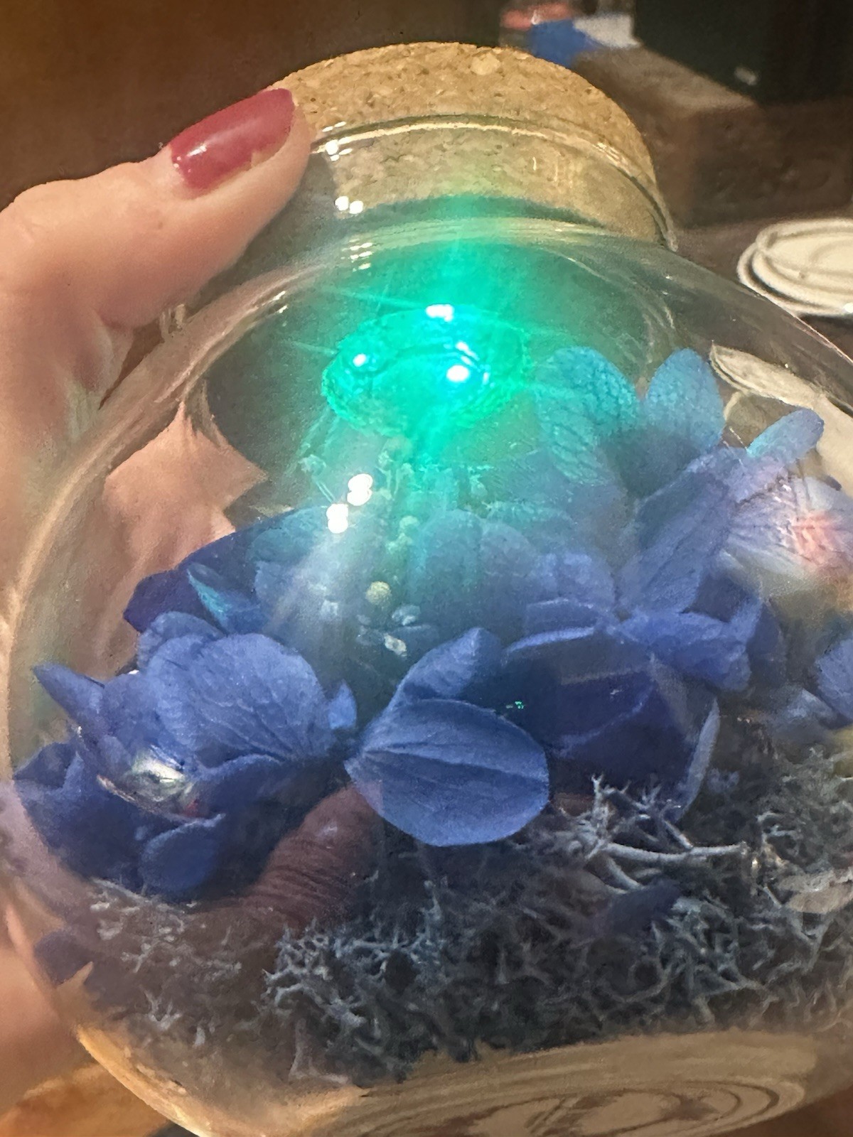 Blue wishing rose/eternal rose with light decoration