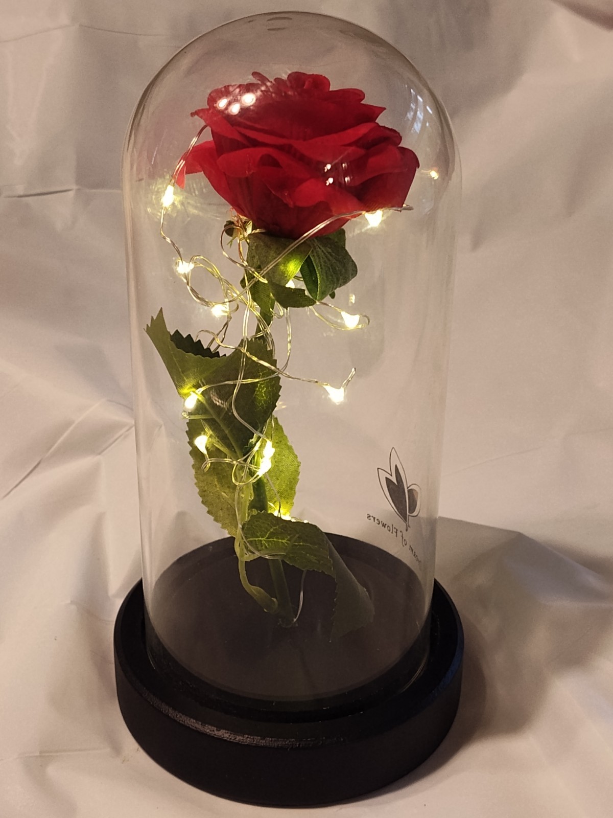 Dream Of Flowers Beauty and The Beast Rose Red Lasts Forever Wood Base lighted