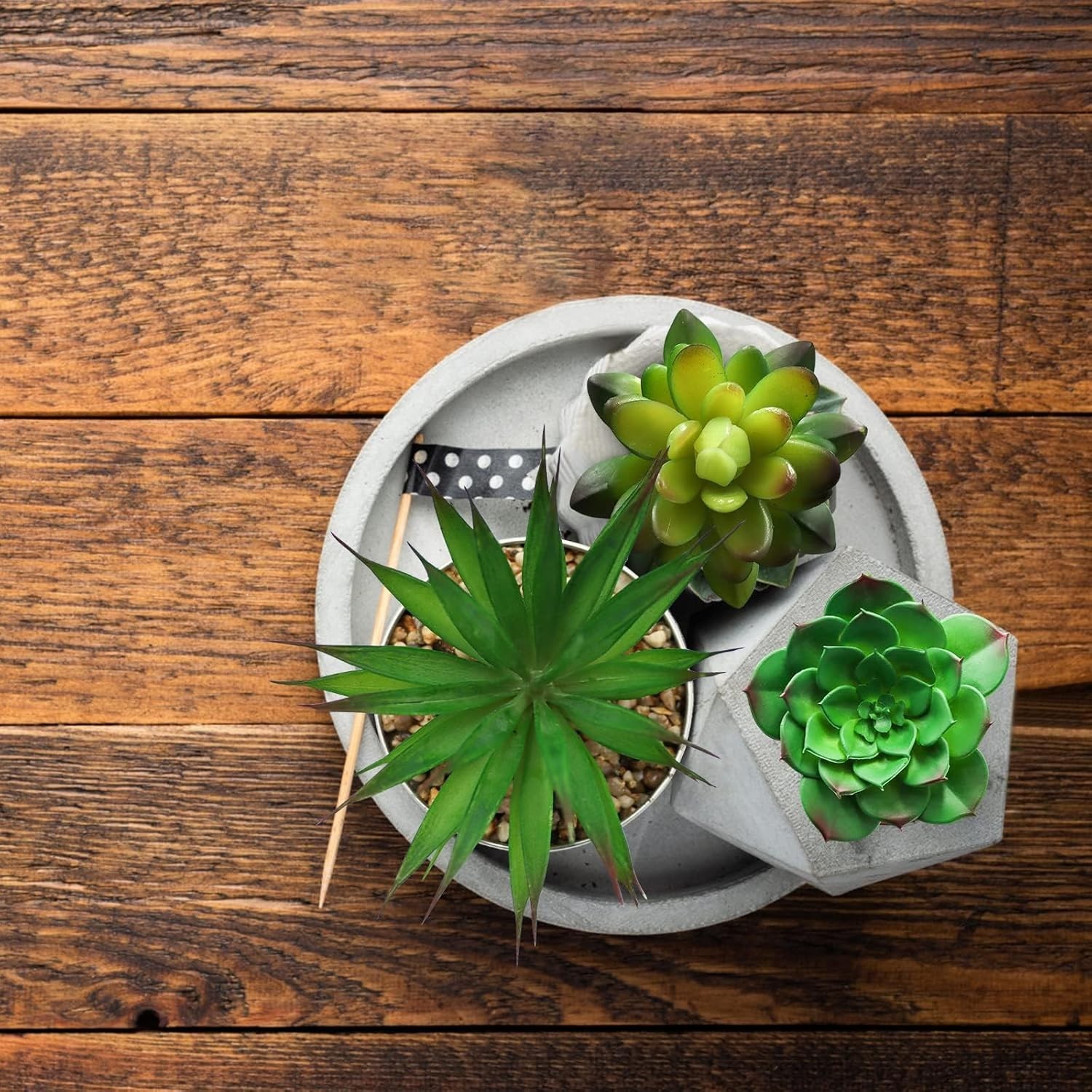 5-Piece Artificial Succulent Set – Perfect for Home, Office, and Events
